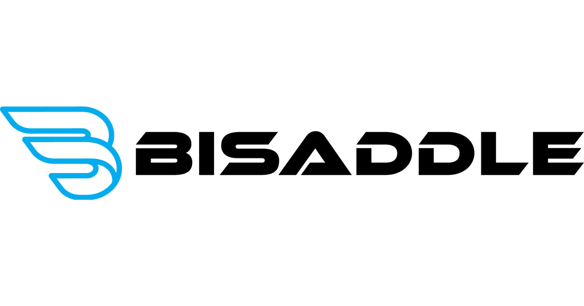 Bisaddle review deals