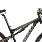 old bisaddle version on bike