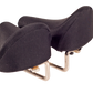 old bisaddle rear view